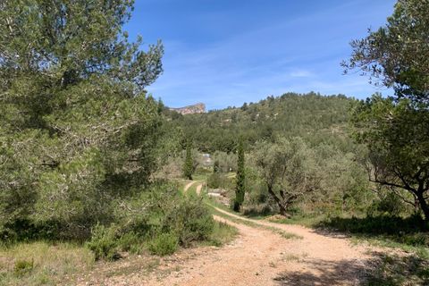 Landejendom i Tortosa, Tarragona, Tortosa - € 139.000 | Ref: Tor9079fra - foto 31